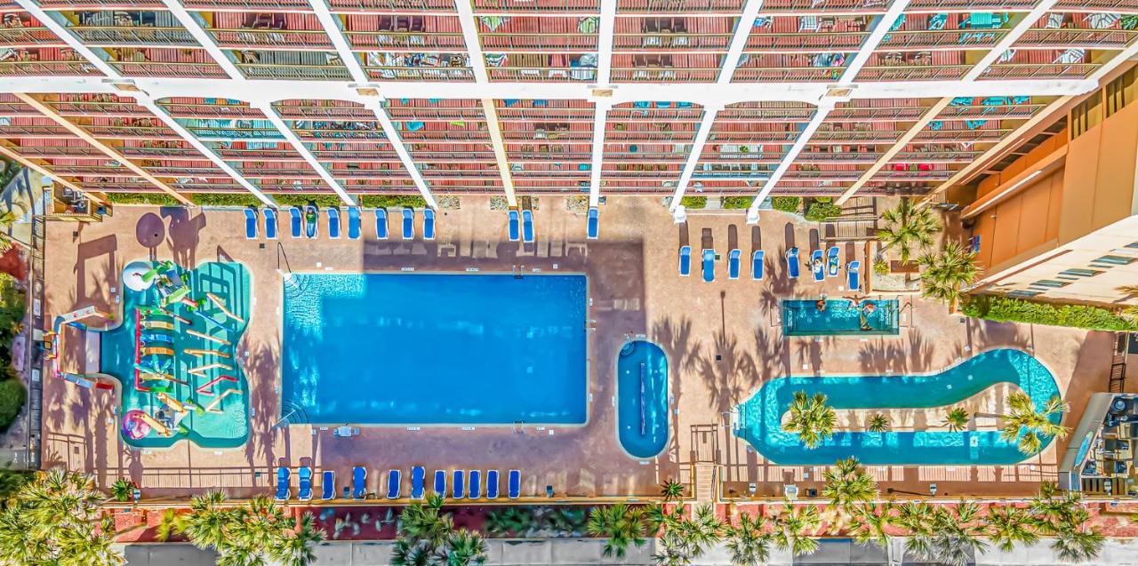 Ocean View King Suite With Modern Decor And Accents - Caravelle Resort 605 Sleeps 4 Guests Μιρτλ Μπιτς Εξωτερικό φωτογραφία